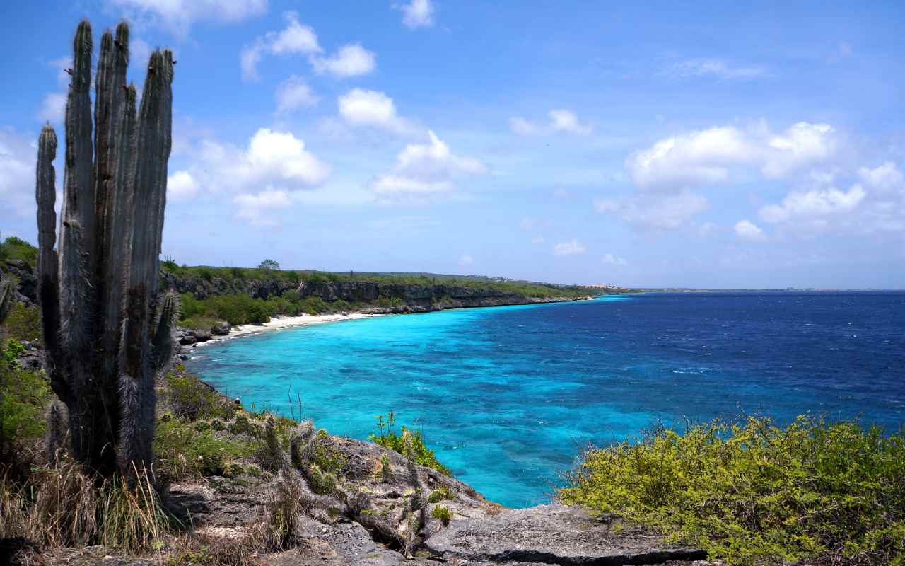 Caribbean Club Bonaire Hotel in Kralendijk, Nederlandse Antillen foto 4