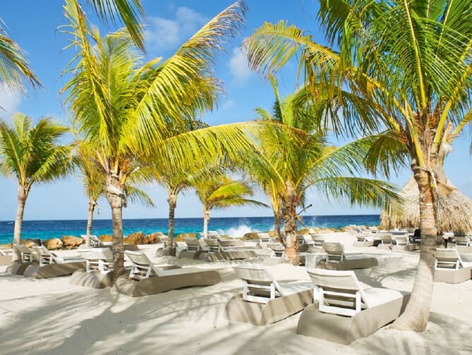 Strand bij Livingstone Jan Thiel Resort in Jan Thiel, Curacao foto 3