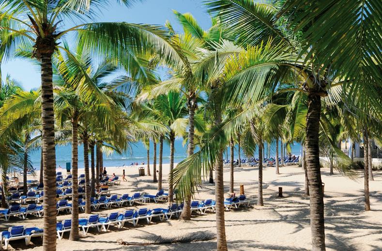 Riu Lupita Hotel in Playa Del Carmen, Mexico foto 4