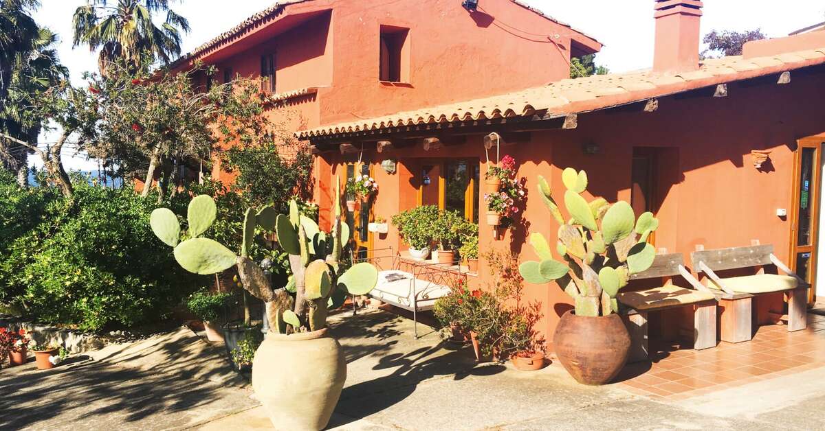 Grasveld bij het Agriturismo Tenuta Ruralia Hotel in Santa Domenica, Italië foto 2