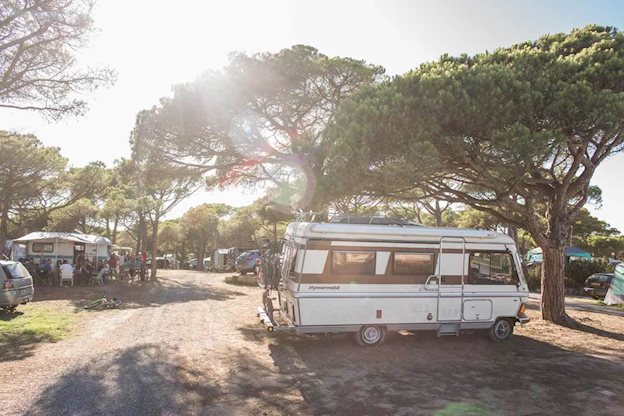 Camping El Delfin Verde Hotel in Platja de Pals, Spanje foto 4