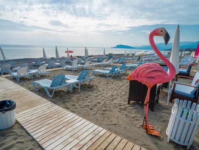 Campus Hill Hotel | Reviews!