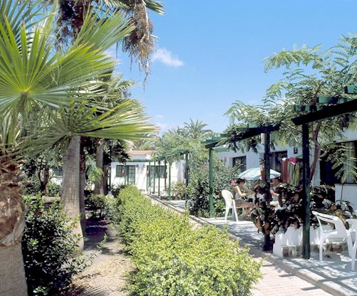 Grasveldbij het Dunaoasis Maspalomas in Maspalomas, Canarische Eilande foto 2