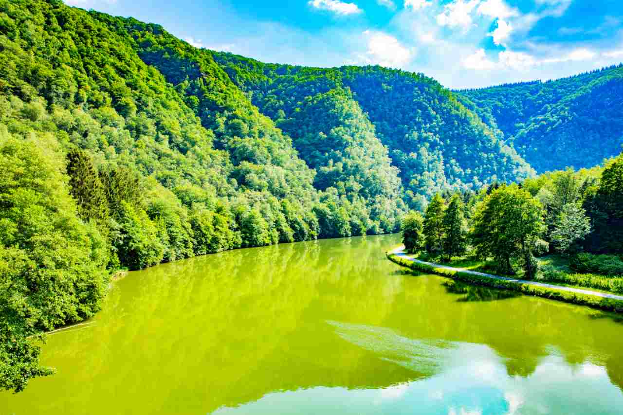 Camping Petite Suisse Hotel by Dochamps, België foto 5