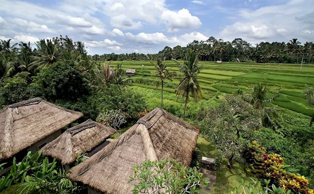 Maya Resort & Spa Hotel in Ubud, Indonesie  foto 4
