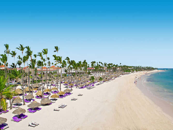 Luxe Vakantie Paradisus Palma Real Punta Cana Deal