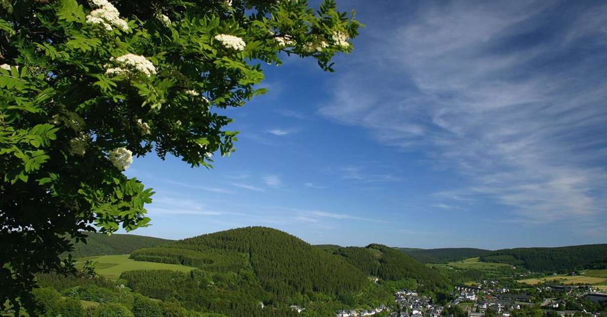 Buitenkant van  Wald Hotel in Willingen, Duitsland foto 1