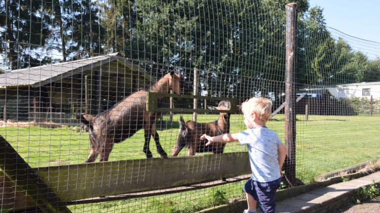 Procamp4all Camping de Holterberg