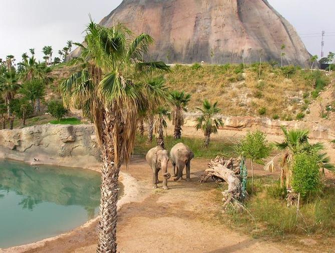 magic-natura-waterpark-resort-spanje